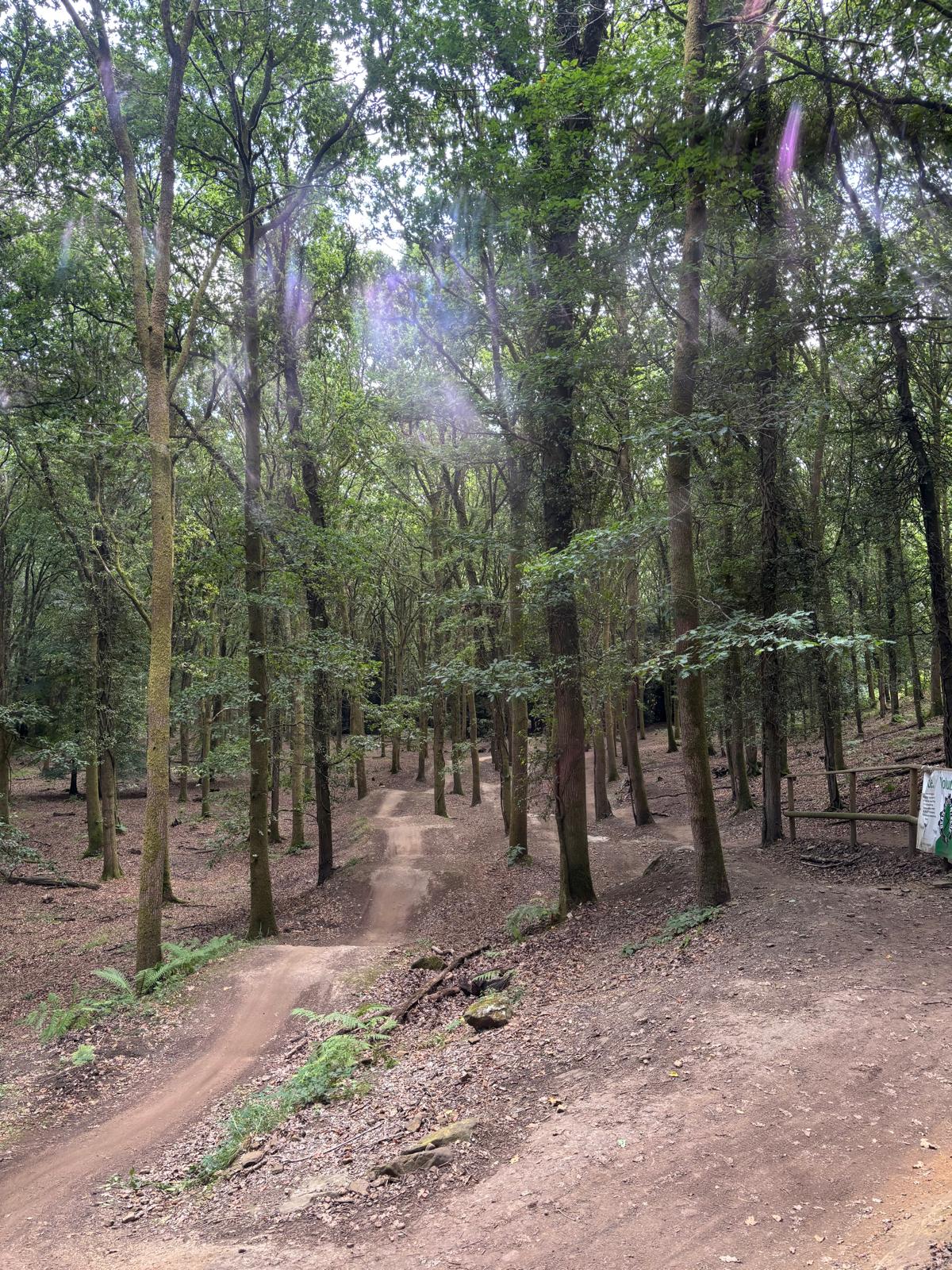 Forest of Dean mountain biking